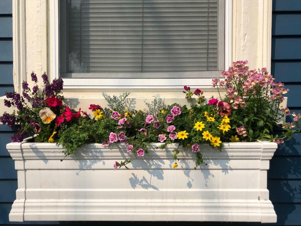 Bed and Breakfast Northey Street House Salem Exterior foto